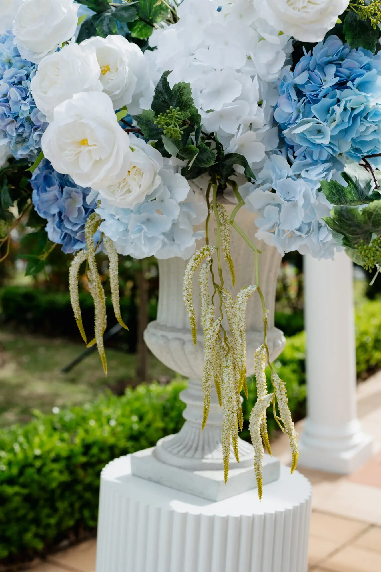 Urn overflowing with white and blue hydrangeas and trailing amaranthus