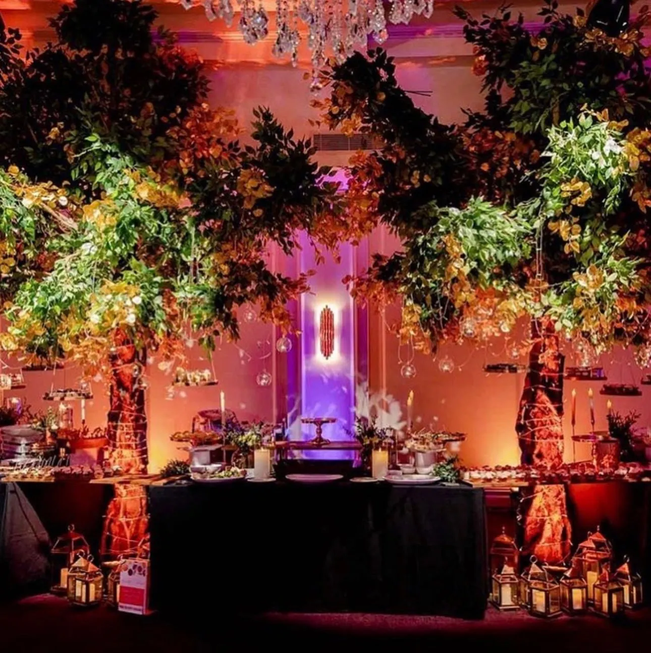 Evening event with potted trees, warm uplighting and a lit feature table