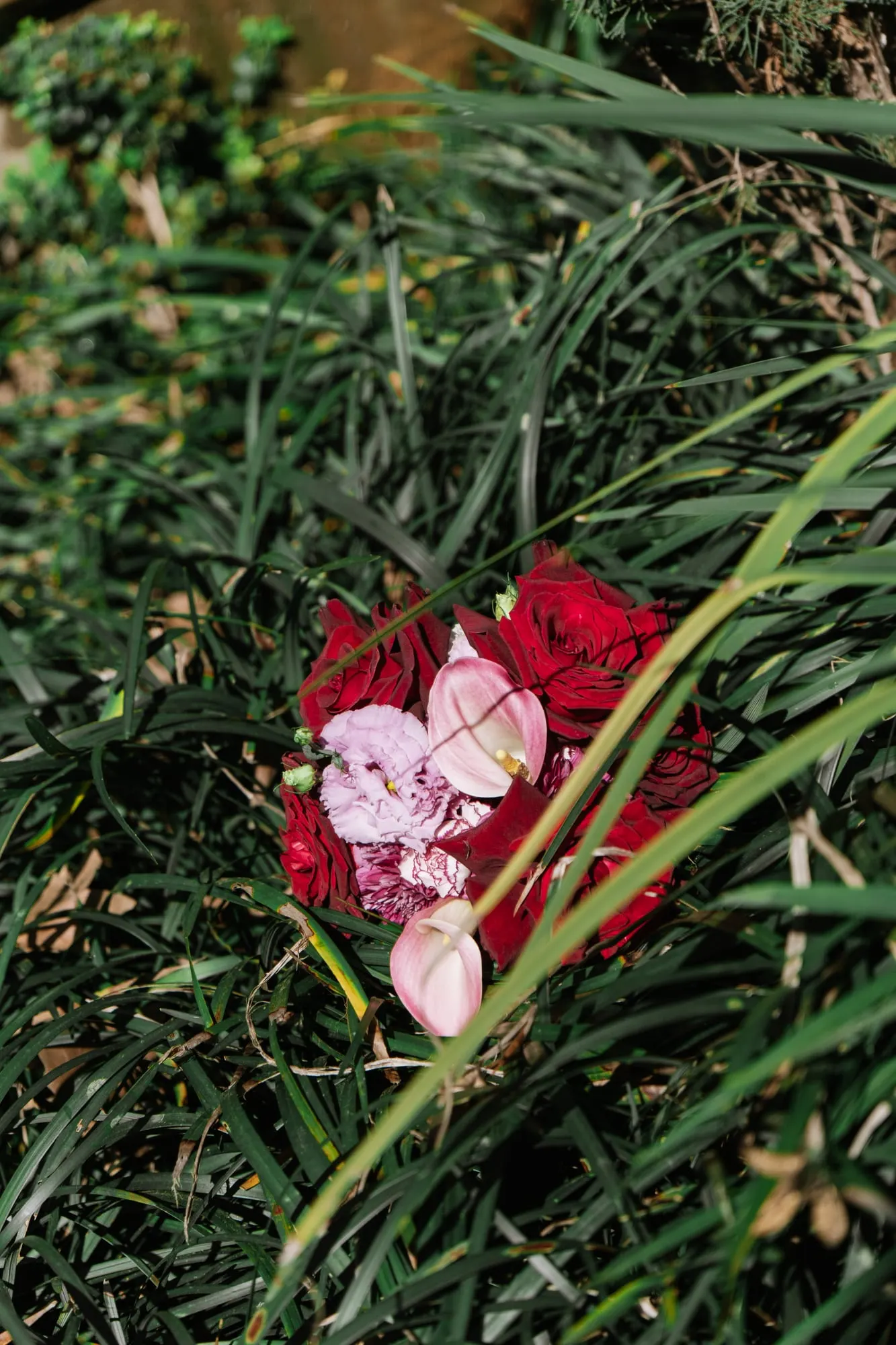Red and pink bridal bouquet laid on long green grass