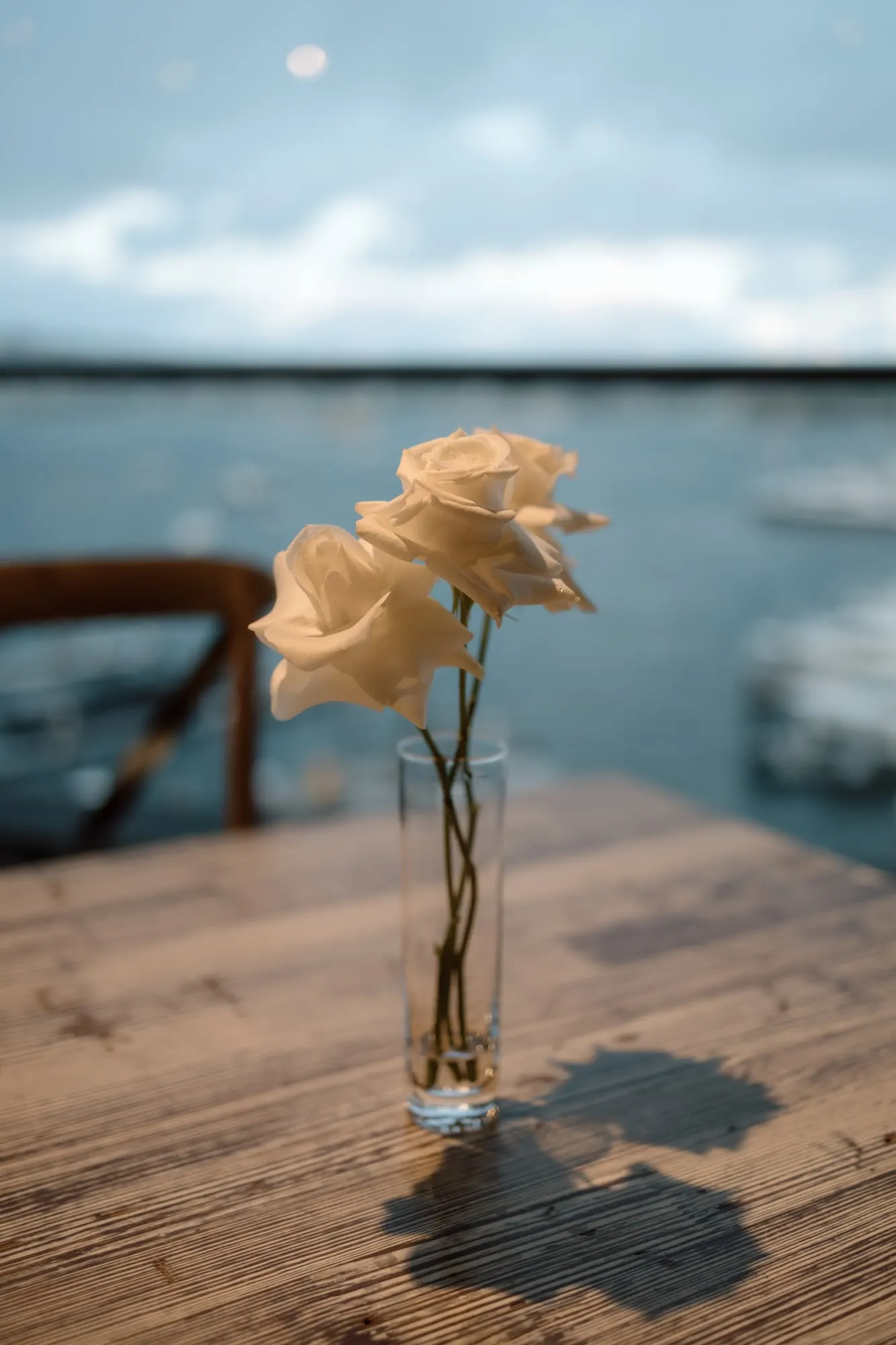 Single white rose in a bud vase on a timber table, with the harbour behind